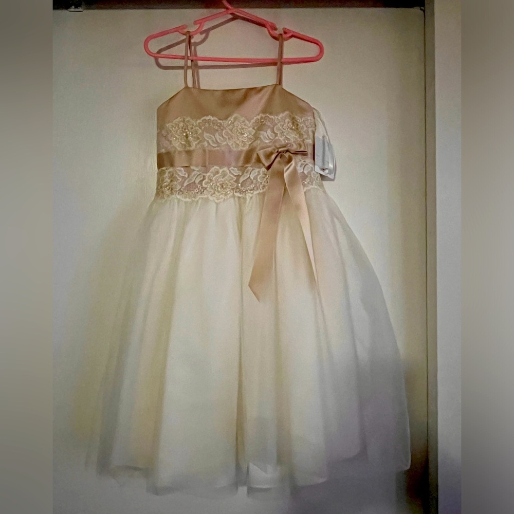 David’s Bridal 2T Flower Girl Dress